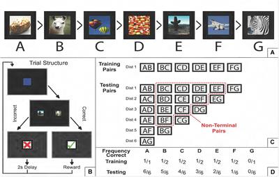 Discovering Implied Serial Order Through Model-Free and Model-Based Learning